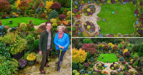 Couple spends 37 years and £15,000 transforming beautiful garden that now attracts thousands of tourists