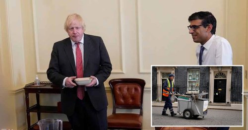 Sue Gray report reveals extent of Downing Street partying after finally being published