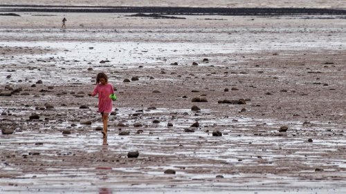 Beaches polluted as profits flow to execs