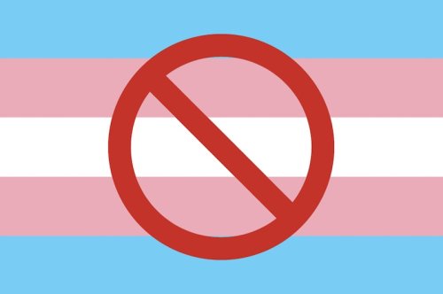 Could Bills Prohibiting “Obscene” Matter Penalize Trans Visibility?
