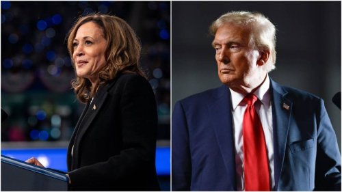 Would Trump or Harris win in an election rematch today? What a new poll found