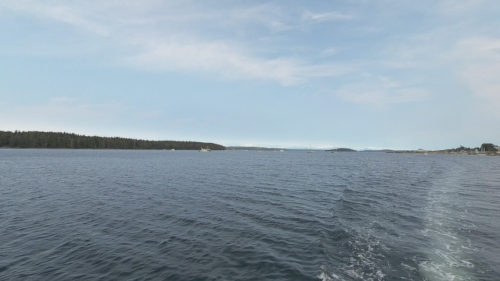 Elusive sea creature seen on Canada coast. See why officials are ‘deeply concerned’
