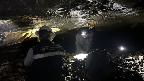 What lies in hidden passage of Mexico cave — and four other mysteries solved