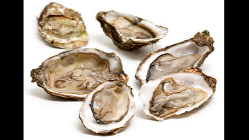 The FDA issued a ‘do not eat’ oyster advisory for Florida, New York, 11 other states