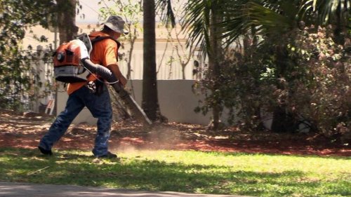 Florida cities want to ban noisy gas leaf blowers, go electric. Tallahassee may stop that