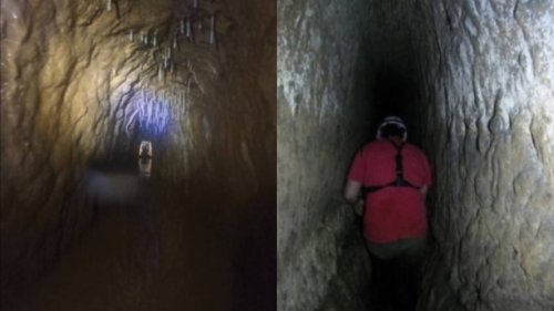 ‘Large’-eyed creature found lurking in ancient Roman mine. It’s a new species