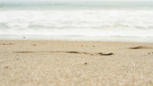 18-year-old pushes man’s head into sand and bites ear off in beach brawl, Florida cops say