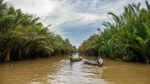 3-foot-long river creature with ‘large’ teeth found in Vietnam. It’s a new species