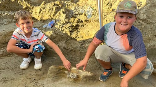 Boys spot strange bone — and find two ancient elephant skeletons in Germany. See them