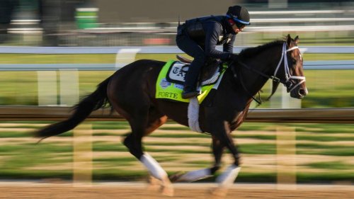 Young and old to collide looking to add more triumphs at this year’s Florida Derby