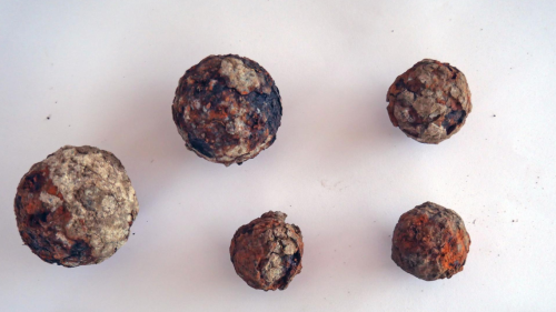 Trove of artifacts — including cannonballs and coins — found at French island fort
