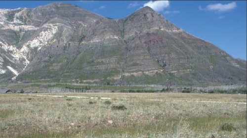 ‘Cryptic’ creatures seen ‘sunning themselves’ in Canada. They’re a new species