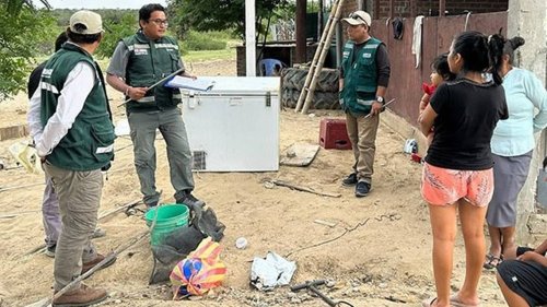 Person cleaning their freezer in Peru bitten by venomous creature hiding inside