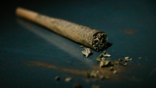 Babysitter records herself sharing a joint with 1-year-old child, Florida cops say