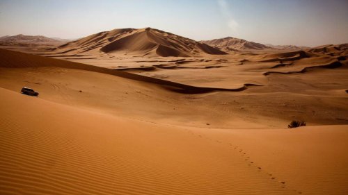 Venomous creature — armed with neurotoxin — found in Oman for first time. See it