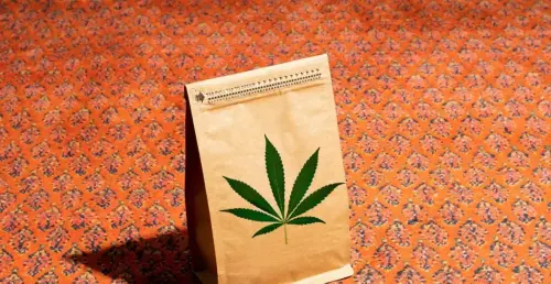 Miami's Top Five Weed Dispensaries That Deliver Right to Your Door