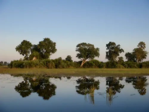 Familien Safari in Botswana - Michael Guthmann