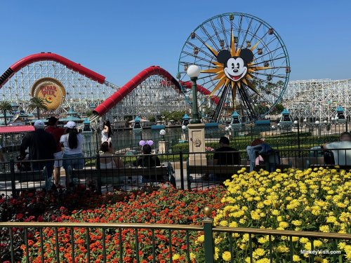 Best Disneyland Quick Service Restaurants 2023. We’ve Tried All.