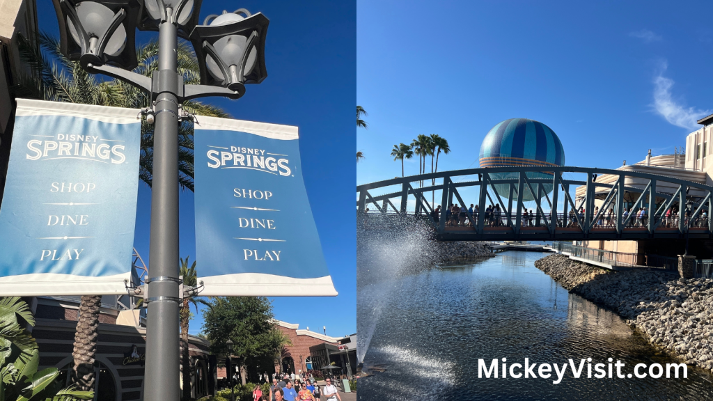 Disney World - cover