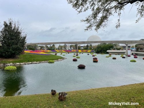 New Walt Disney World Lounge Opening Soon Will Be Adults Only