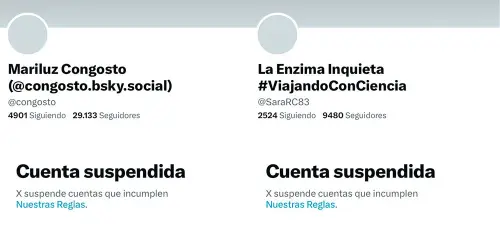 La gran masacre de cuentas de divulgadoras y definitivamente más tipos de perfiles en Twitter en España de abril de 2024