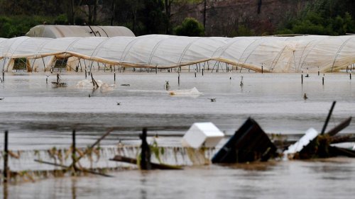 Homes of 85,000 people at risk, but rain eases around Sydney