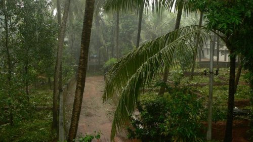 Monsoon hits Kerala, three days ahead of schedule