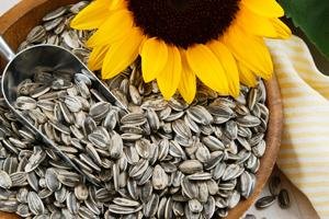 Health: 5 seeds you should eat every day for better nutrition