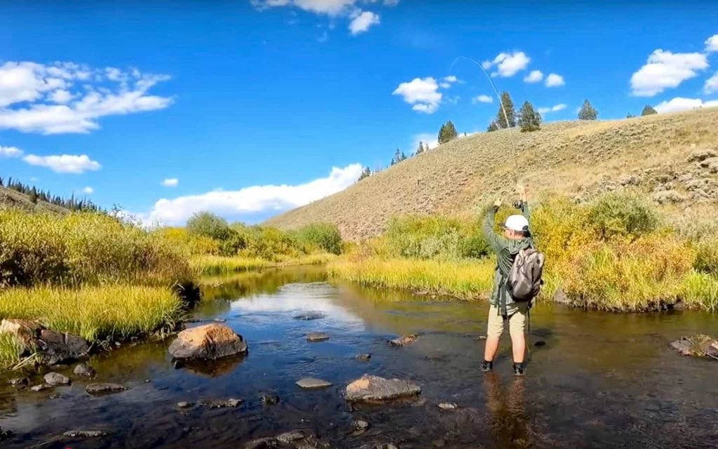 Catch or Release - cover