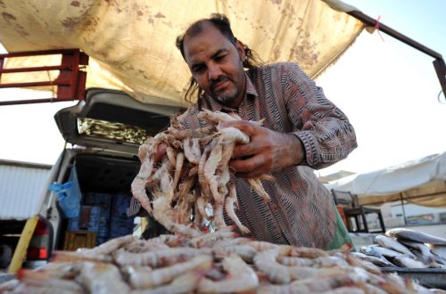 Saudi fishermen begin strike against market price hikes in Qatif
