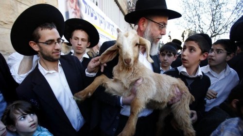 Israeli settlers call for animal sacrifice at Al-Aqsa Mosque