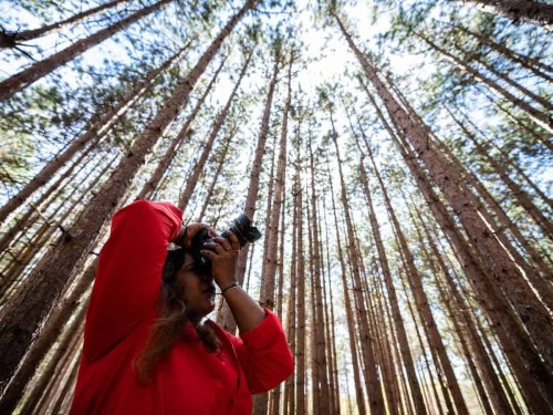 From Lakes to Forests: Epic Outdoor Adventures in Door County, Wisconsin