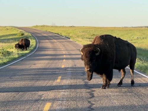 Explore the Best of Theodore Roosevelt National Park—and Why Locals Love Life He
