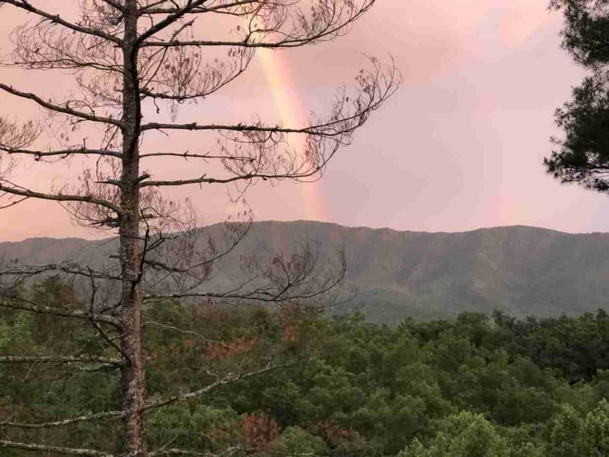 Top Places To Explore in the Great Smoky Mountains