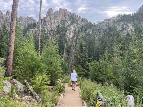 Where the Bison Roam: Exploring the Wild Beauty of Custer State Park