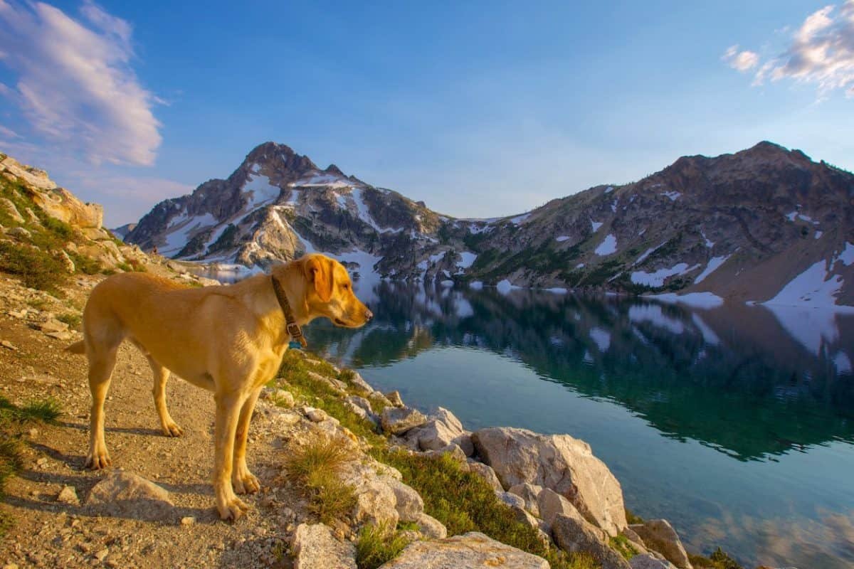 Exploring the Gem State: Must-See Idaho Adventures