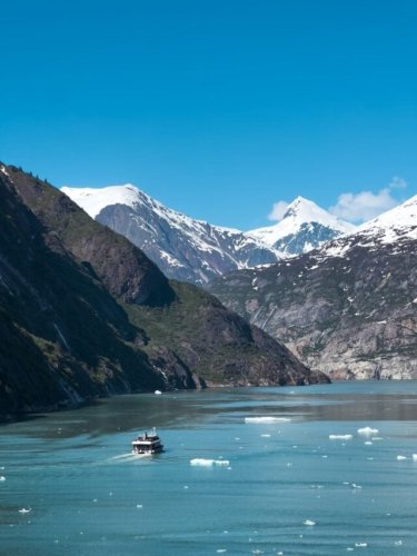Is Glacier Bay a Must on an Alaskan Cruise? - Miles with McConkey