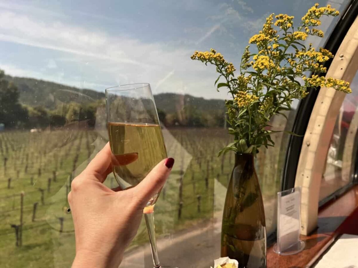 Downtown Napa Has It All! What Are You Missing?