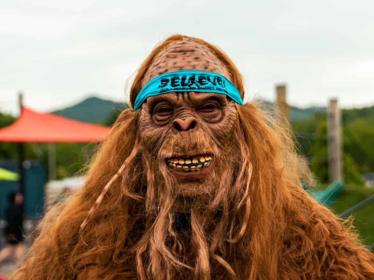 You Won’t Believe These Fun, Quirky Smoky Mountain Festivals
