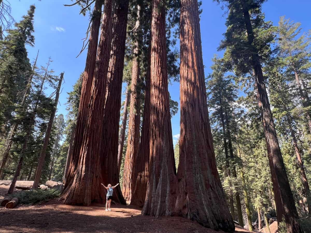 One Day, Endless Wonders: Kings Canyon National Park Itinerary