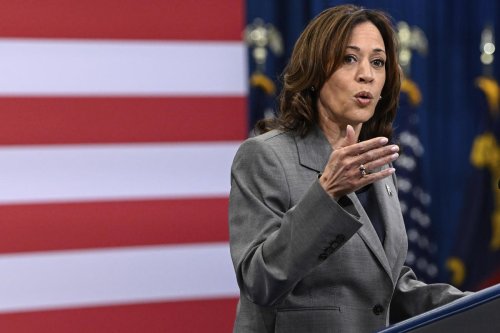 VA Should Show Artificial Intelligence Tools Don't Cause Racial Bias, Vice President Says