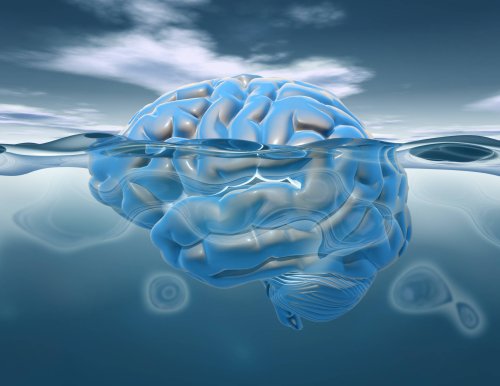 Reductionism As A Dead End In Neuroscience Captured In An Essay 