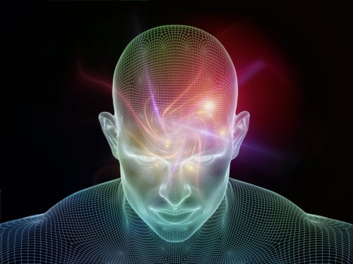 Could Consciousness Have Evolved?