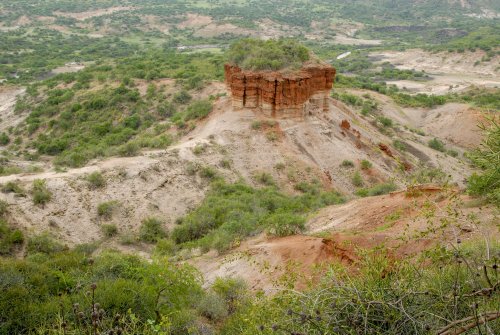 Abstract Reasoning in Human Ancestors: Earlier Than Thought?