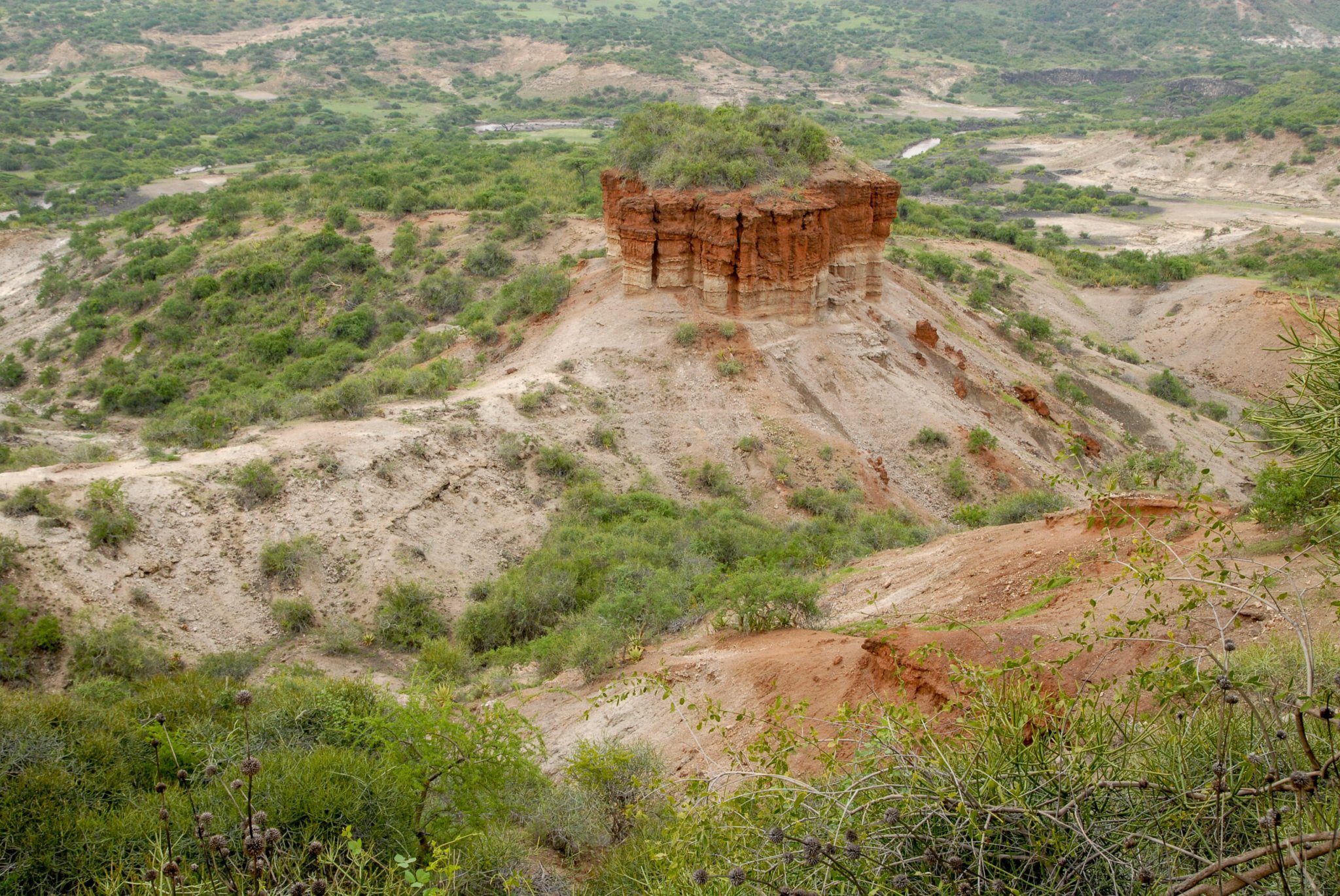 Abstract Reasoning in Human Ancestors: Earlier Than Thought?