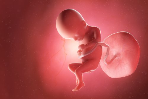 Attack on Top Consciousness Theory Springs From Abortion Politics
