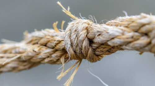 Science Writer: Research Should Not Be Publicly Funded