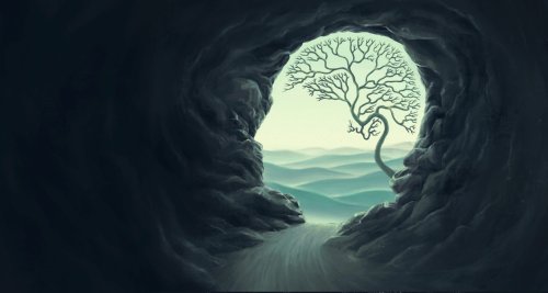 New Paper Provides Further Evidence for Free Will