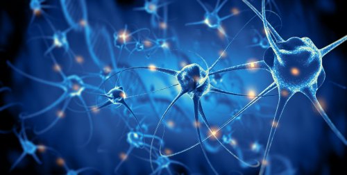 How Complex Is a Single Neuron in Your Brain?