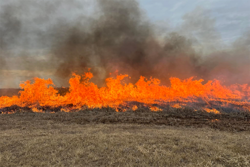 Midwest states face early wildfire season